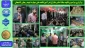 برگزاری مراسم پرشکوه میلاد امام رضا (ع) در آموزشکده ملی مهارت شهید رجایی لاهیجان - اردیبهشت 1404